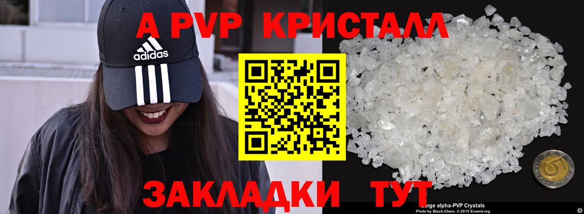 Alfa_PVP СК КРИС Курчалой