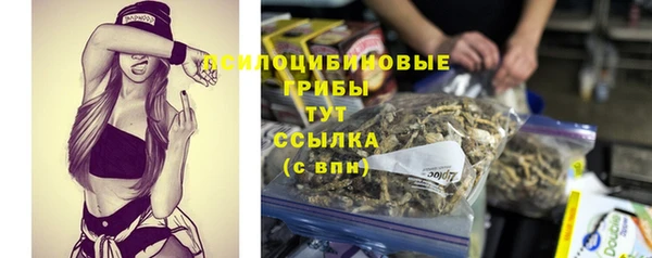 сатива Липки