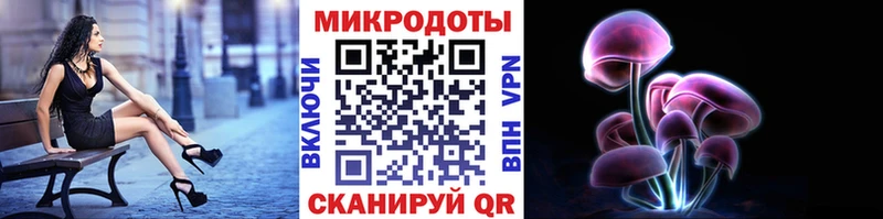 площадка наркотические препараты  что такое наркотик  Курчалой  Галлюциногенные грибы прущие грибы 
