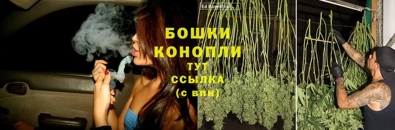 Бошки Шишки THC 21%  Курчалой 