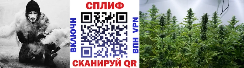 Канабис VHQ  Курчалой 