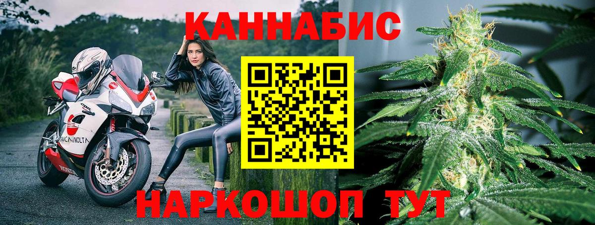 Бошки марихуана гибрид Курчалой